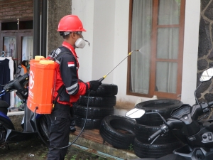 Effective Ways to Prevent Pest Infestations in Toronto Homes